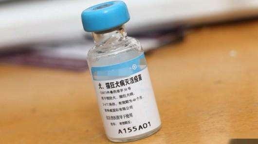 打狂犬疫苗时间,切记别错过时间
