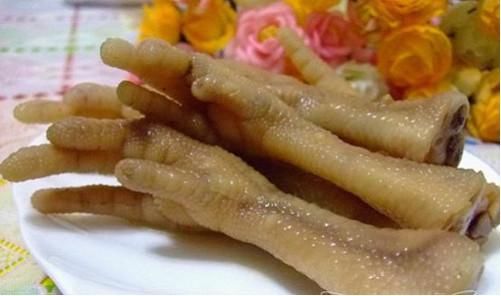 泰迪拉稀带血怎么办?先找到原因再对症治疗