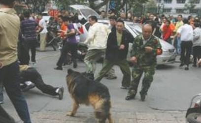 狂犬病早期症状有哪些？主要表现有这些