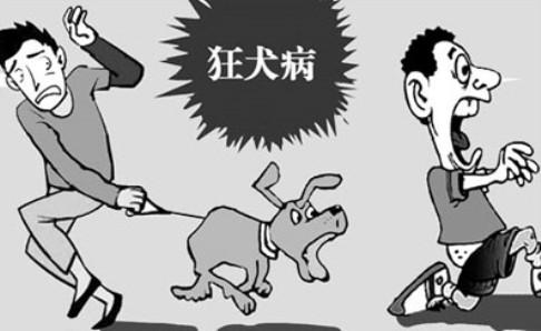 狂犬病为什么会学狗叫?可能是误解了
