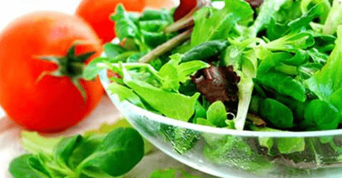 猫口腔溃疡怎么办？这些措施都可以试下