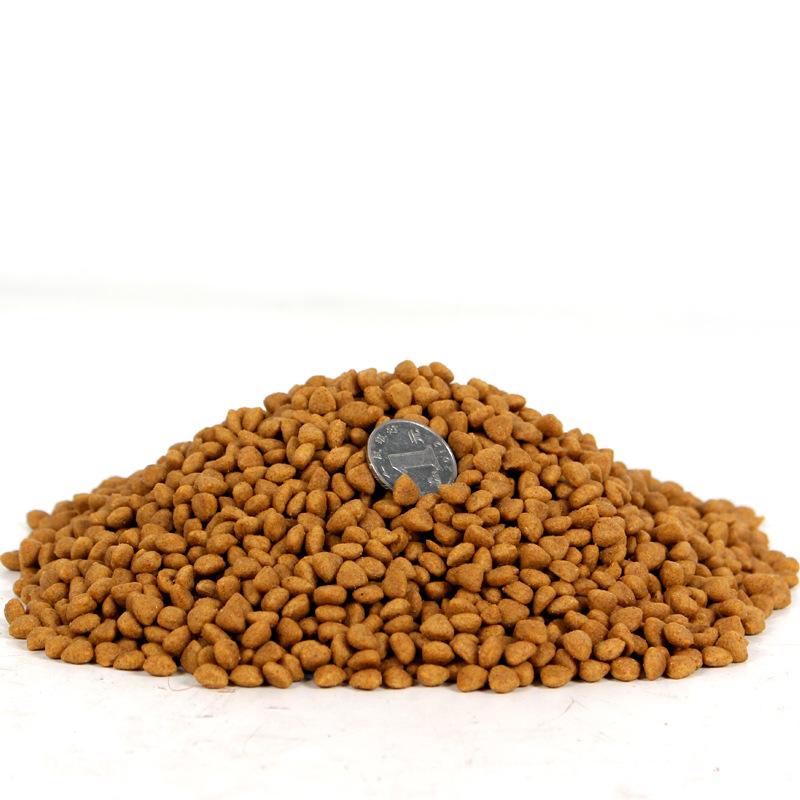 泰迪不爱吃狗粮怎么办,这样做便不再挑食