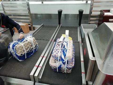 狗狗如何托运，把一些细节处理好就差不多了