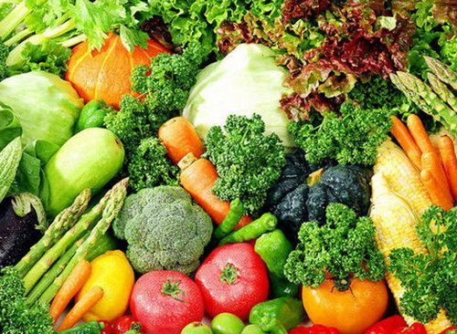 幼犬多久不拉屎不正常？会不会被憋死