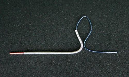 大巴车可以带宠物吗?这些规定你要搞懂