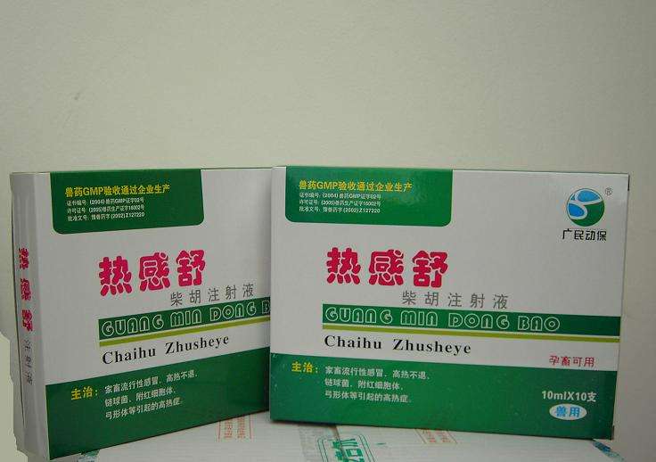 狗感冒了吃什么药？ 新技能快来get