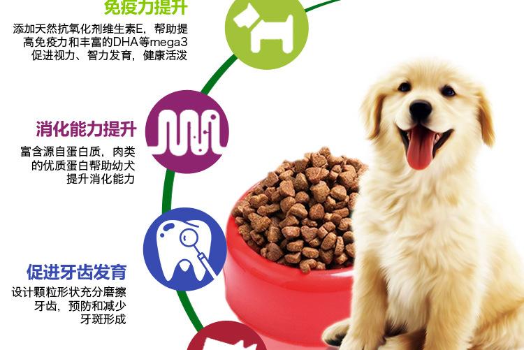 狗狗不吃东西怎么办？ 妙招教你轻松搞定