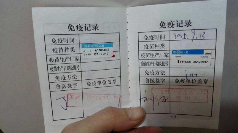 养狗需要办什么证?这些你都办了吗