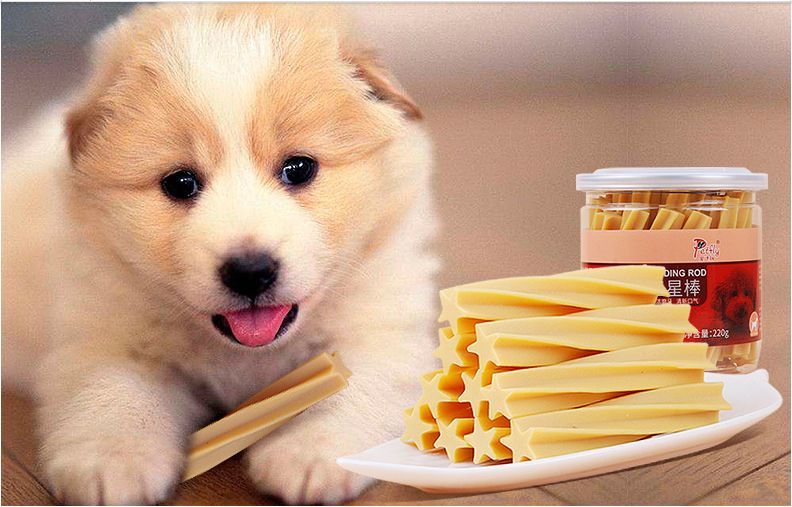 狗口臭怎么办，找准原因再治疗