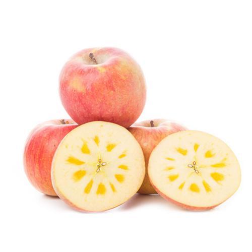 贵宾犬吃苹果心会拉肚子吗?一般的情况是这样