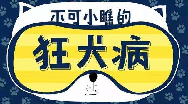 狂犬病人会咬人吗？不排除这种情况