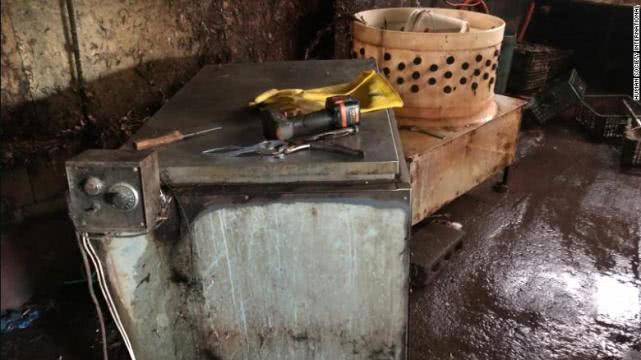 国内外舆论压力太大,韩国最大的狗肉屠宰场宣布关闭