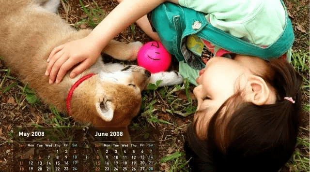 关于狗狗的感人电影?这些电影你看了吗