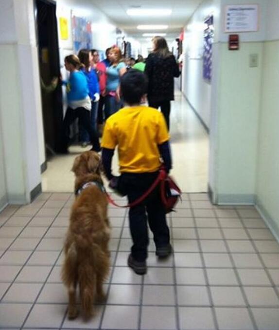 狗狗一步也不想离开小主人,大家决定这么做让他们永远在一起