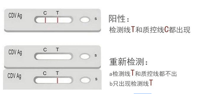 细小治疗费用,必须的费用小解