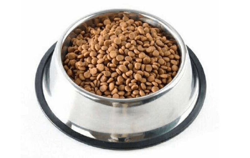 狗粮怎么泡,关键是方法要找对!