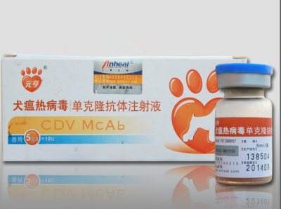 犬瘟热的治疗方法   危机无处不在