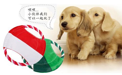 金毛犬喜欢玩什么?这几样就够了