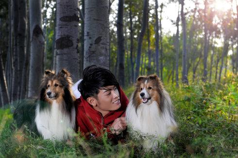 喜乐蒂吃什么狗粮好?养狗必看!