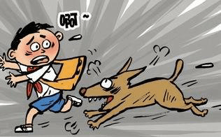 狂犬病潜伏期多久~不要耽误医治良时