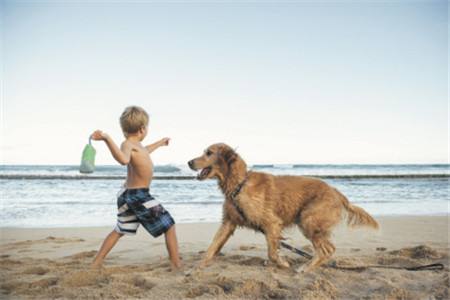 养狗的坏处~让你哭笑不得啊