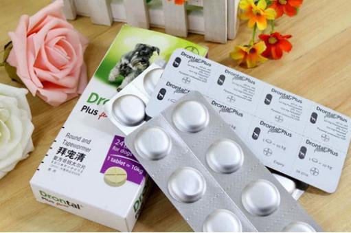 泰迪拉稀带血怎么办?先找到原因再对症治疗