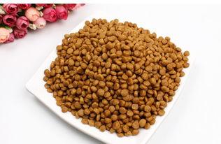 幼犬狗粮怎么泡？最好根据说明书按标准来