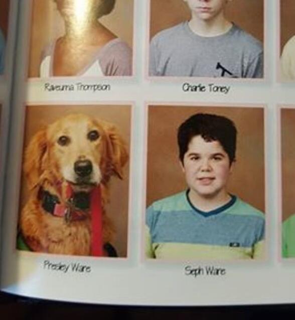 狗狗一步也不想离开小主人,大家决定这么做让他们永远在一起