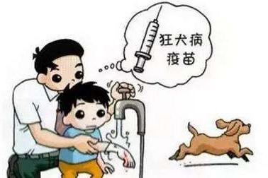 狂犬病的潜伏期是多久？切莫胡乱猜测