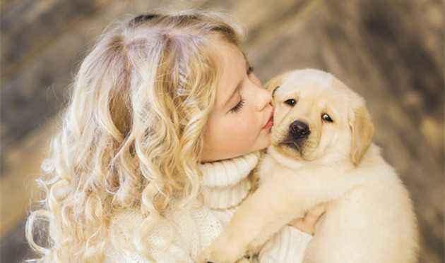 狗狗抑郁症的表现，这几点的发生，就要引起注意了