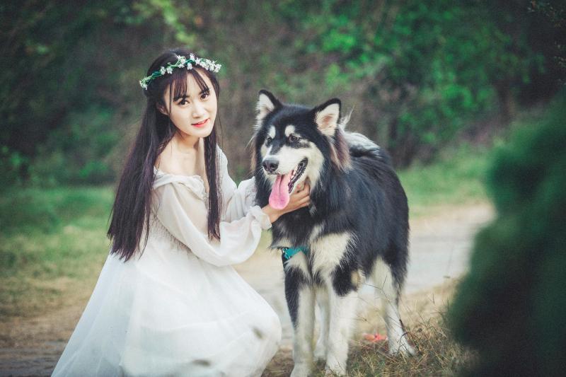 狗死后为什么不闭眼?说出令人泪下