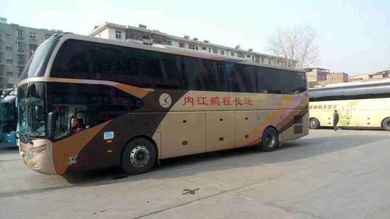 坐大巴可以带宠物吗?为了爱宠,看清楚了