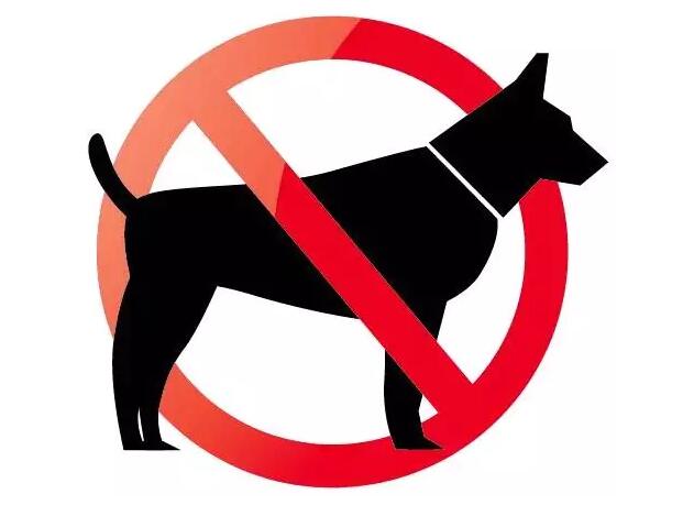 这50种狗不能养了?新乡各界人士谈“狗事儿”