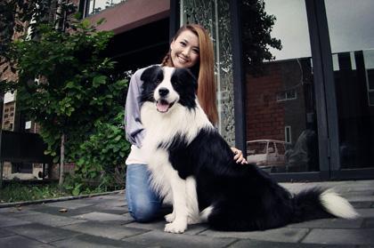 边境牧羊犬幼犬训练方法，幼犬就该这样训练