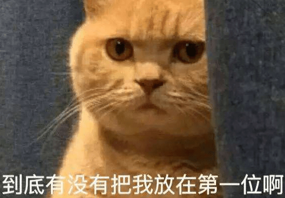 小猫咬人怎么办,猫奴宠主们如何解决