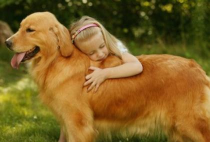 卡斯罗与金毛体型谁大,看看谁会战败