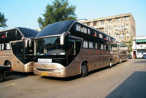 坐大巴可以带宠物吗?为了爱宠,看清楚了