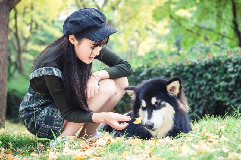 狗死后为什么不闭眼?说出令人泪下