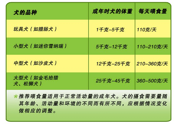 康多乐狗粮怎么样?喂食的狗粮你真的了解吗