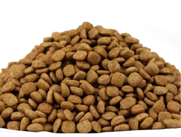 萨摩耶适合吃什么狗粮?饲喂要点看这里