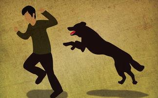 狂犬病传染吗?传染是有一定的条件的