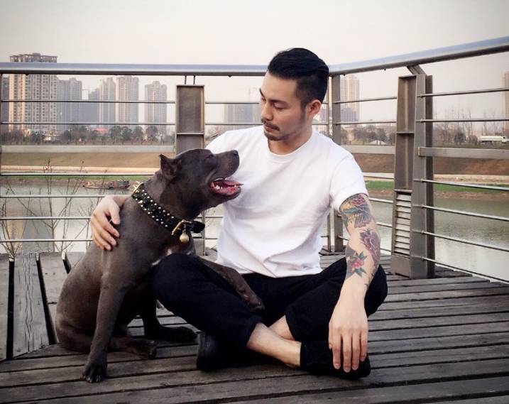 恶霸犬厉害吗,它很丑但是很温柔
