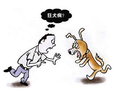 被狗咬了怎么办，赶紧做好这两件事