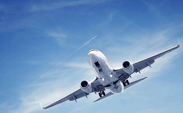 空运狗狗多少钱?不是土豪你还真运不起