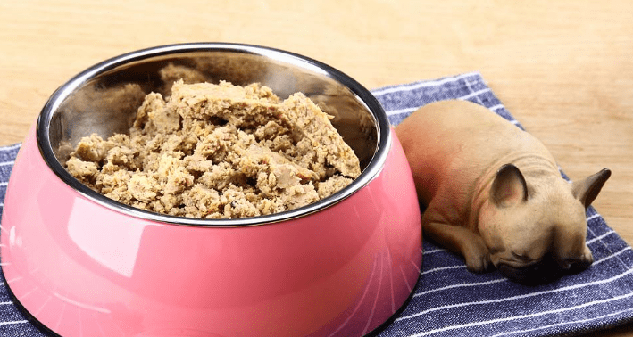 狗粮怎么选,它的健康你来选择!