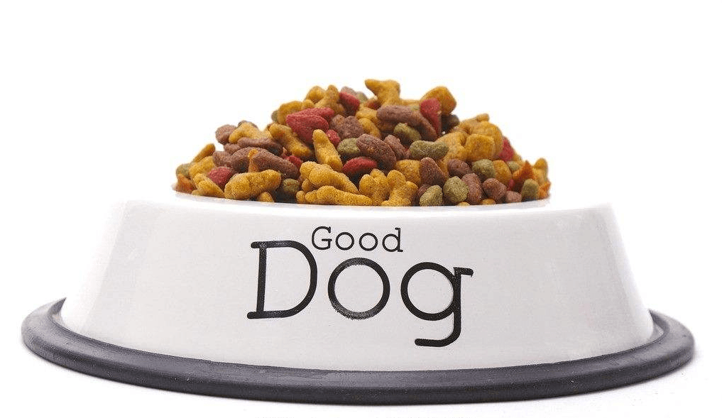 哈士奇吃什么？看完你会大吃一惊