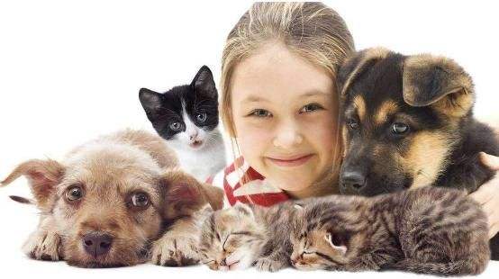 养宠物对健康有益，这些知识了解一下