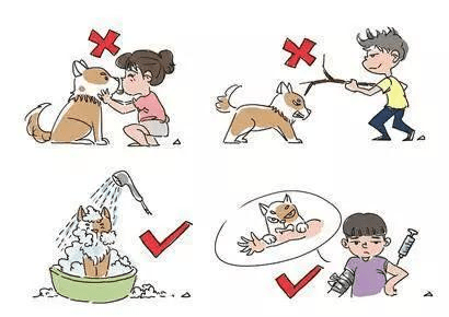 狂犬病为什么治不好?看完你就知道了