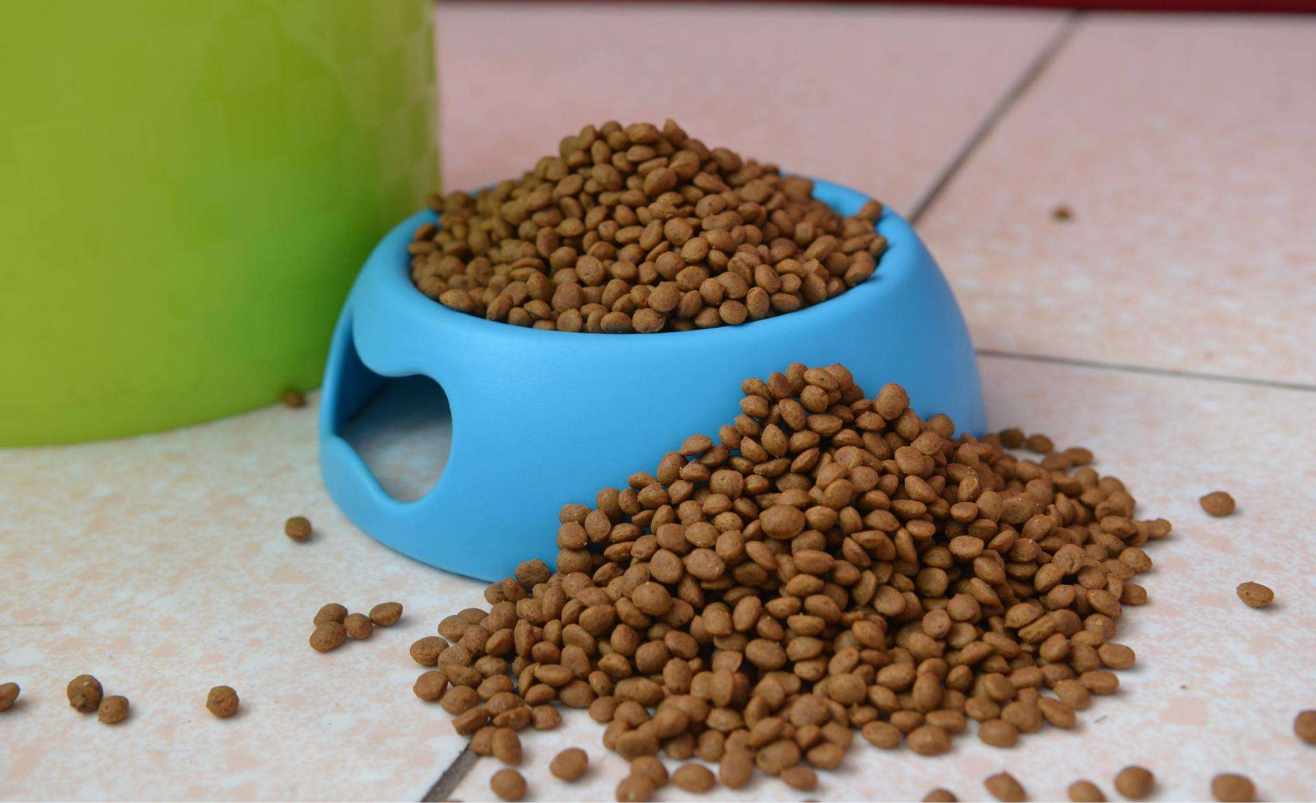 狗粮怎么选,它的健康你来选择!