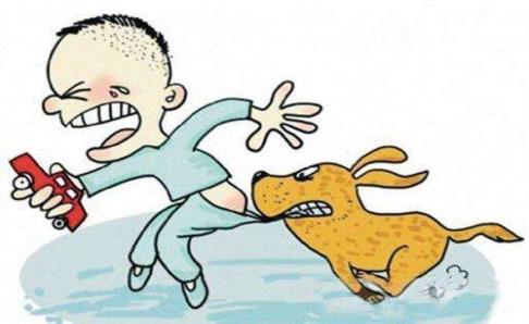 狂犬病毒潜伏期,科学的说法是这样的